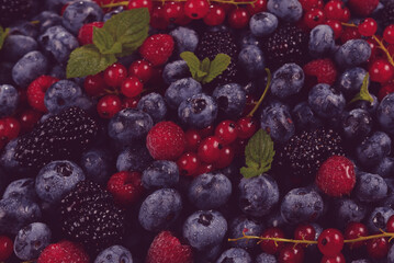 Blackberry, raspberry, blueberry,  red currant and mint background.
