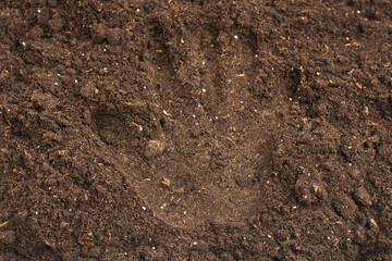 Woman hand trace on a ground.