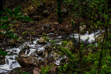 Madeira - Levada do Rei