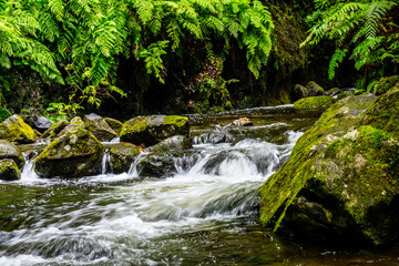 Madeira - Levada do Rei