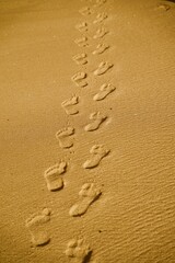 footprint in sand