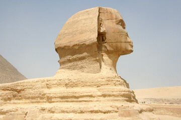 Fototapeta na wymiar The Sphinx statue in Giza, Egypt 