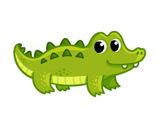 Baby crocodile on a white background. Vector illustration with a crocodile in cartoon style.