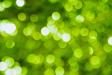 Blur natural green leaves bokeh background