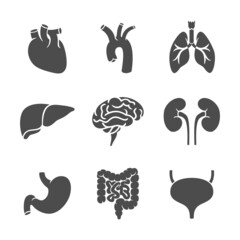 Human internal organs icon set in a modern, simple, flat style. Healthcare medicine concept . Vector illustration.