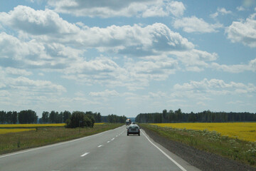 Природа Сибири