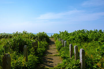 海へと続く道