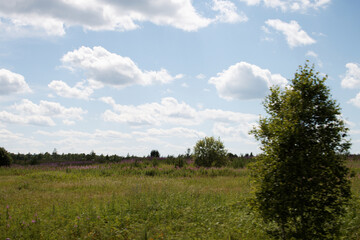 Природа Сибири