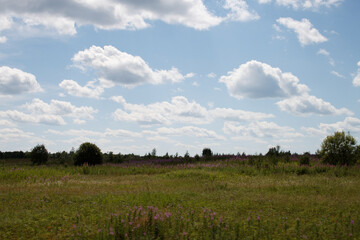 Природа Сибири