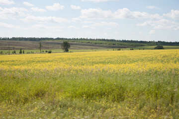 Природа Хакасии