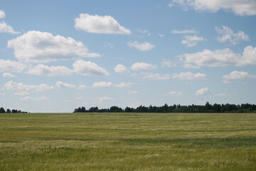 Природа Хакасии