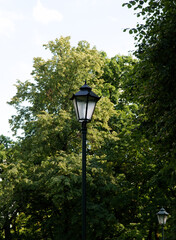 electrical street lamp in park and trees as background