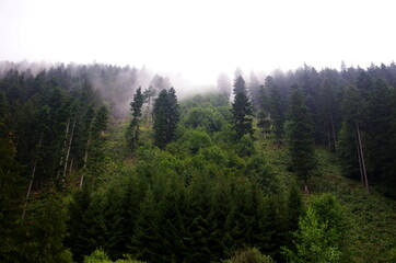 Panorama of natural landscape  forest and mountains in a rainy day background. Foggy morning with mountains and forest. Beautiful Slovakia nature background. Enivromental concept.