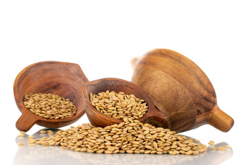 Raw organic green lentils with three wooden cups, macro, isolated on white.