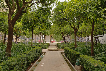 Patio Morisco with water, pool orange trees and pink flowers in the Alcazar de los Reyes Cristianos, Cordoba, Analusia, Spain 