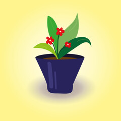 Obraz premium houseplants