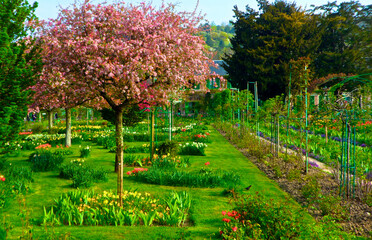 A colorful french garden