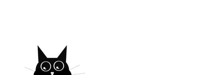 BLACK CAT WITH BIG CUTE EYES