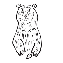 Cute cartoon bear holds a leaf, illustration for coloring page or book for kids and adults