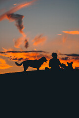 The man chilling at the sunset with his dogs 