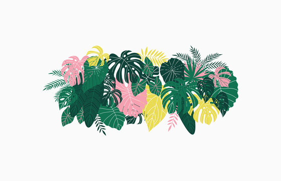 Tropical leaves horizontal composition. Exotic elements banner. 