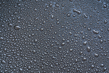 Drops, drips, blobs, beads, dribbles of water on the black teflon surface. Monochrome black and white macro or closeup background or texture