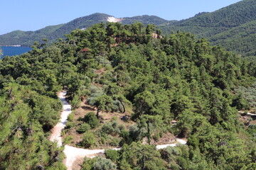Fototapeta na wymiar Marble dust road in a mediterranean forest hill