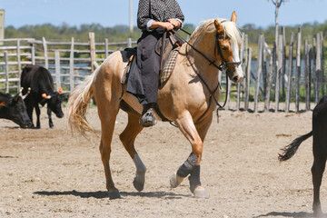 Young girl riding on a brown horse at a farm
