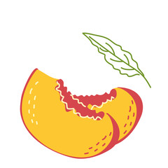 Two slices of juicy yellow-red peach with a leaf close-up. Vector illustration in hand-drawn style, isolated on a white background