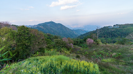 Obraz premium A weekend in the Petchabun province in Thailand