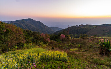 Fototapeta premium A weekend in the Petchabun province in Thailand