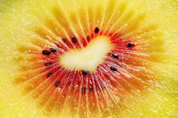 Red kiwi fruit berry heart shaped slice fokusstacking macro very detailed