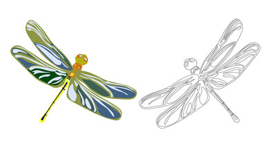 Vector illustration of multicolored dragonfly in flight, filled and outline drawing, realistic line art,in summer or spring colors.Not traced,design element for prints, stickers, decor,  tattoo sketch - obrazy, fototapety, plakaty