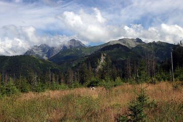 Fototapeta na wymiar Krajobrazy w Tatrach, polskie góry