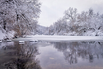 Fototapeta na wymiar Winter forest by the river. Very beautiful natural background.