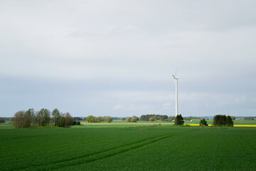 Wind turbine on a field surrounded by green agricultural fields and forest. View of production of...