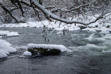 Winter forest by the river. Very beautiful natural background.