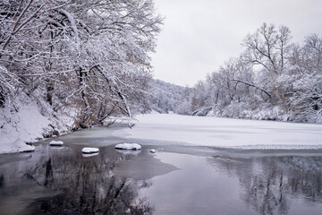 Winter forest by the river. Very beautiful natural background.