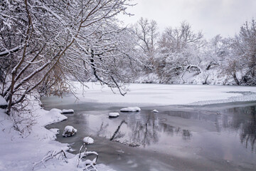 Winter forest by the river. Very beautiful natural background.