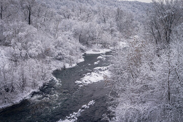 Winter forest by the river. Very beautiful natural background.