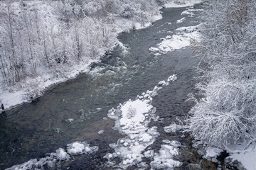 Winter forest by the river. Very beautiful natural background.
