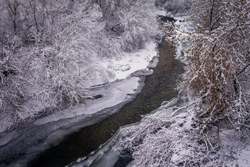 Winter forest by the river. Very beautiful natural background.