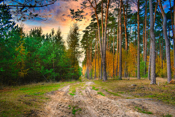 Wczesna wiosna. © Robert