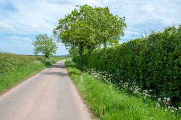 road in the countryside