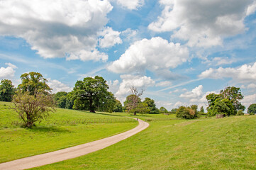 Rural scenery in the UK.