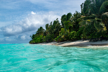 Fototapeta na wymiar Turquoise water with white sandy beach and dark green palm trees in Maldives