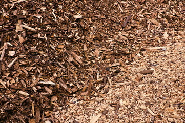 Fototapeta premium Tree cut into small pieces in the form of a pile