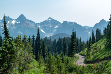 Fototapeta na wymiar Rocky and snowy mountain peaks seen through dark green pine forest with paved trail in Mt Rainier National Park