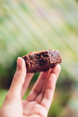 chocolate brownie on a green background