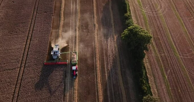 Woodbridge Suffolk UK July 16 2021: Aerial shot of combine loading off corn grains into tractor trailer. Farming concept, harvesting concept